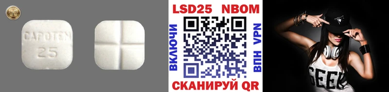 где купить наркоту Славск ЛСД экстази ecstasy