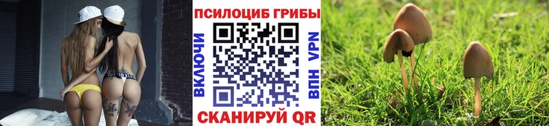 Псилоцибиновые грибы GOLDEN TEACHER  наркота  Славск 
